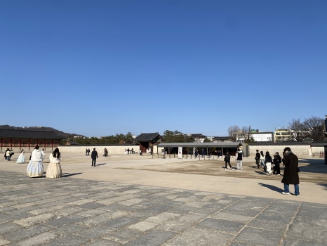 브로콜리 지역정보 관련 사진 71