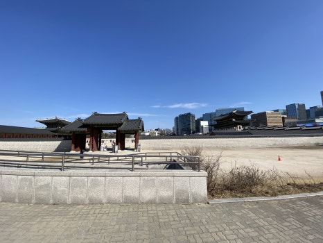 브로콜리 지역정보 관련 사진 13