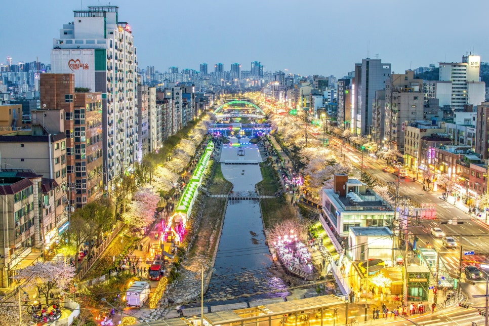 브로콜리 지역정보 관련 사진 2