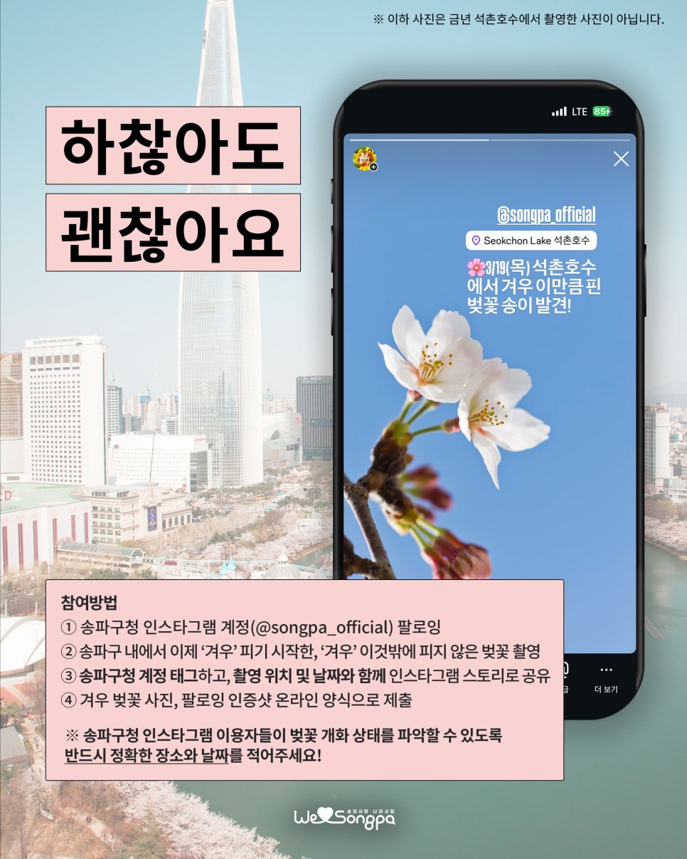 브로콜리 지역정보 관련 사진 3