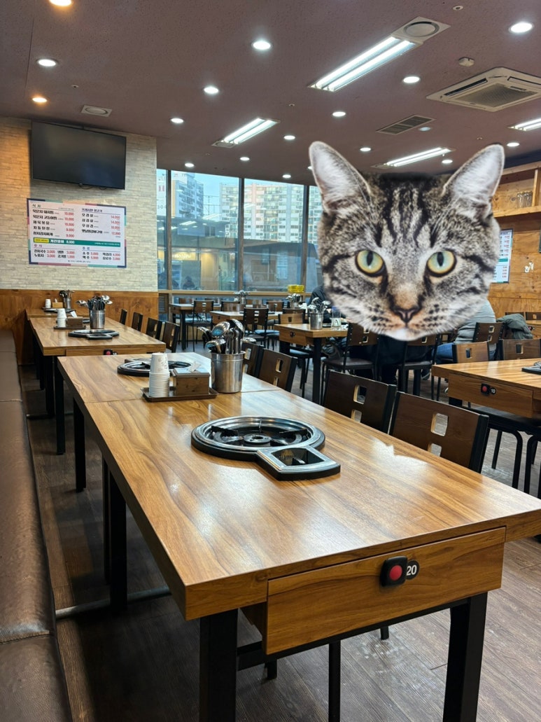 밥도둑 사진 2