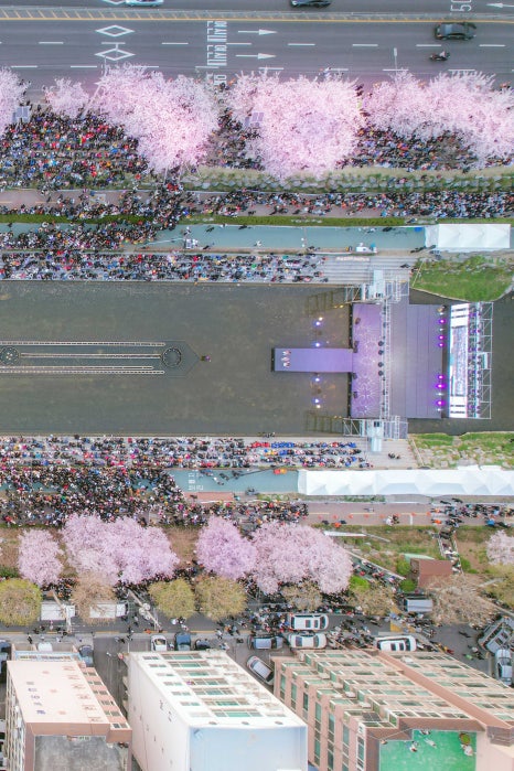 브로콜리 지역정보 관련 사진 9