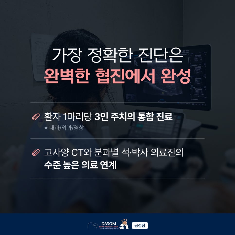 부산 강아지 담낭점액종 수술, 구토 증상과 회복 과정 — 사진 13