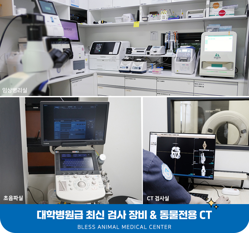용인 24시 블레스동물병원, 강아지 십자인대파열 TPLO 수술 후기 — 사진 5