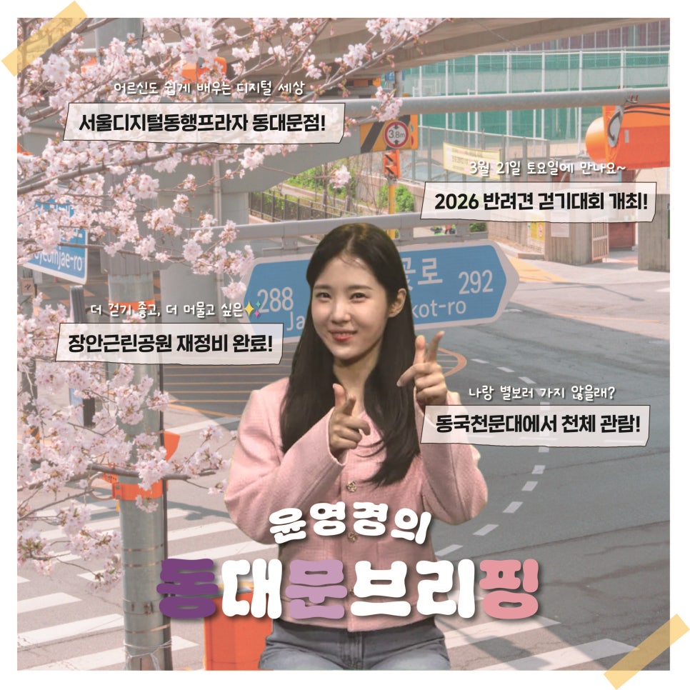 브로콜리 지역정보 관련 사진 14