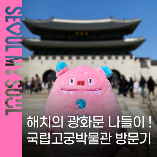 브로콜리 지역정보 관련 사진 74