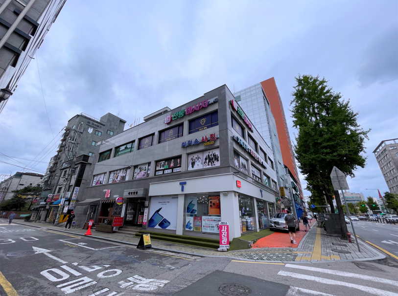 송파 리더스사진관, 강아지 동반 가족사진 후기