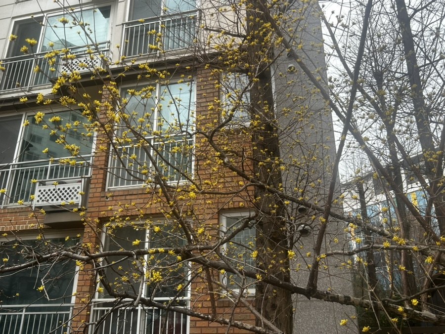 이태원숙이네닭발 이태원본점 사진 3