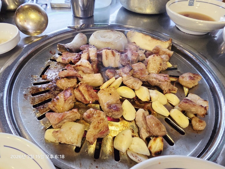탐라제주도야지 사진 6