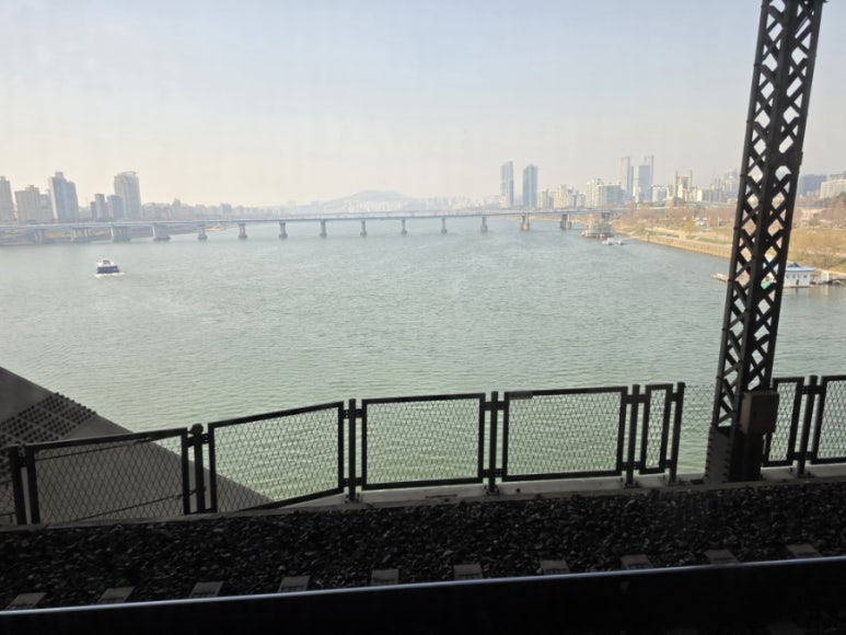 밀숲 사진 8
