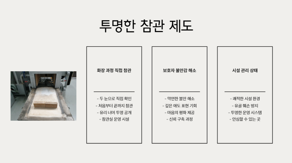 인천 고양이 장례, 후회 없는 따뜻한 배웅 안내 — 사진 4