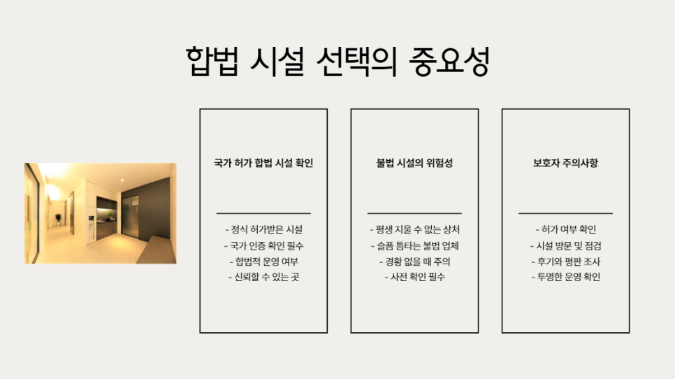 인천 고양이 장례, 후회 없는 따뜻한 배웅 안내 — 사진 3