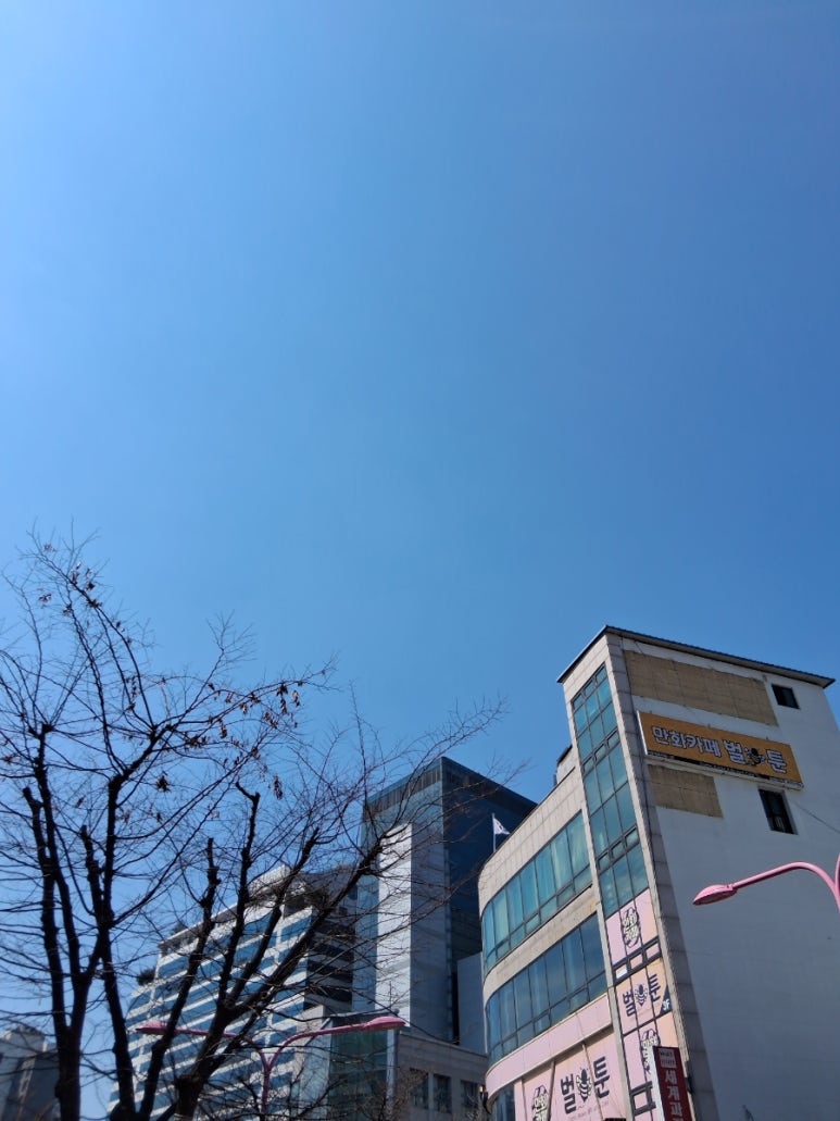 아야나메이드카페 사진 5