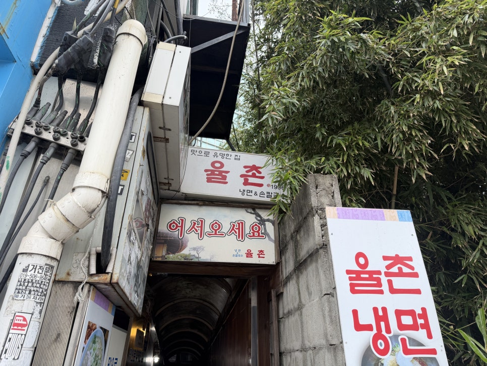 율촌 사진 8