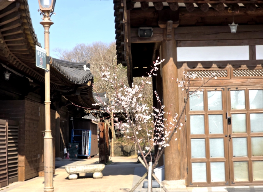 전주 오목대·이목대 인생뷰와 자만벽화마을 시티워크 — 사진 2