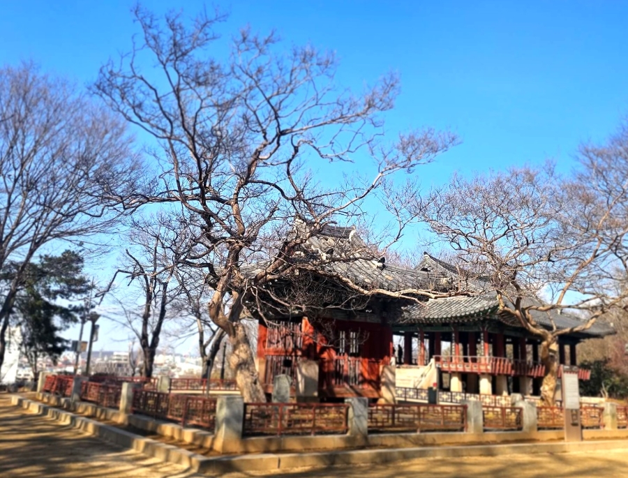 전주 오목대·이목대 인생뷰와 자만벽화마을 시티워크 — 사진 8