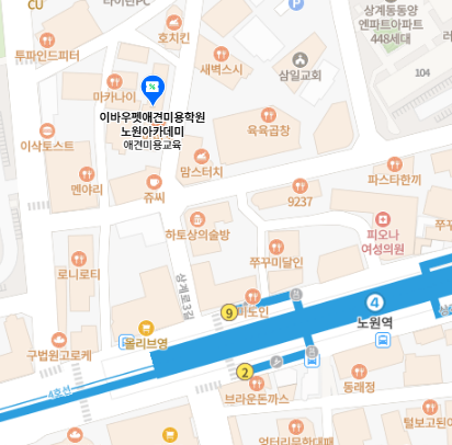 노원애견미용학원: 실습 위주 커리큘럼으로 실무 능력 UP — 사진 13