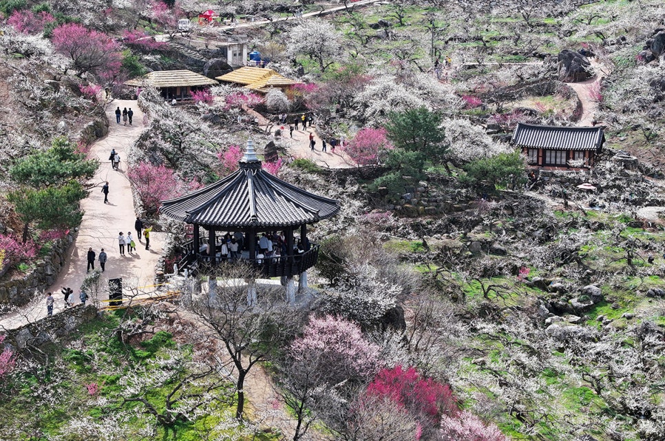 매화정 대표 사진