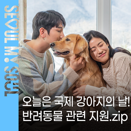 브로콜리 지역정보 관련 사진 1