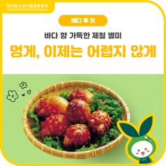 봄 바다 향 그대로🌊멍게, 비린 맛 없이 손질부터 보관까지 바로가기