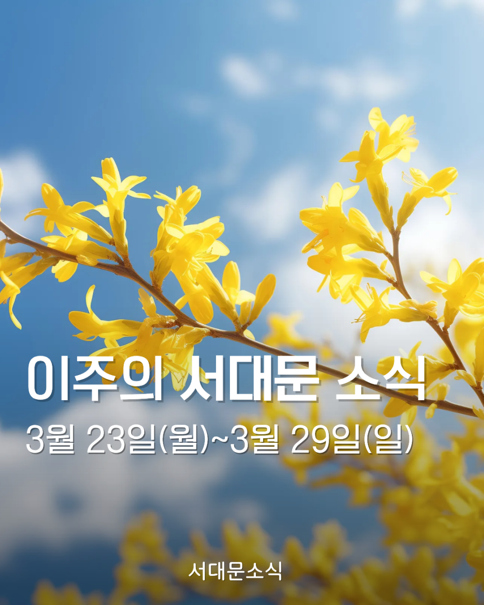 브로콜리 지역정보 관련 사진 1