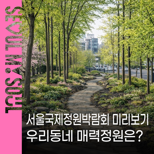브로콜리 지역정보 관련 사진 1