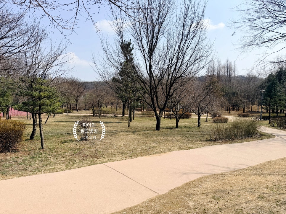 인천 원적산공원 반려견 놀이터: 무료 이용 후기 — 사진 4