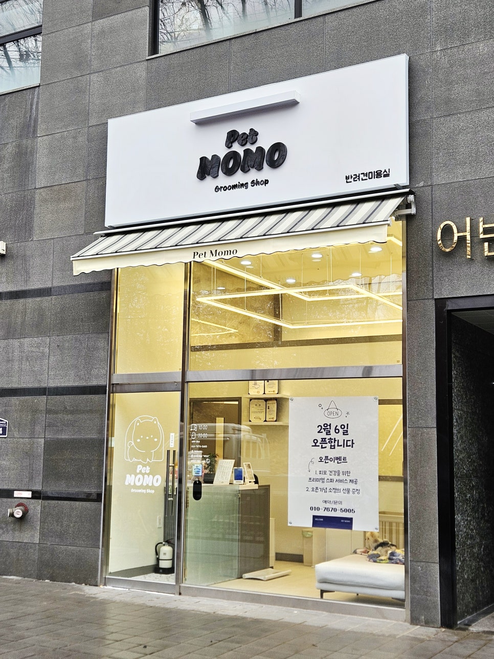 수원 푸들 미용, 펫모모 테디베어컷 후기 — 사진 2