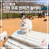 인천 원적산공원 반려견 놀이터: 무료 이용 후기