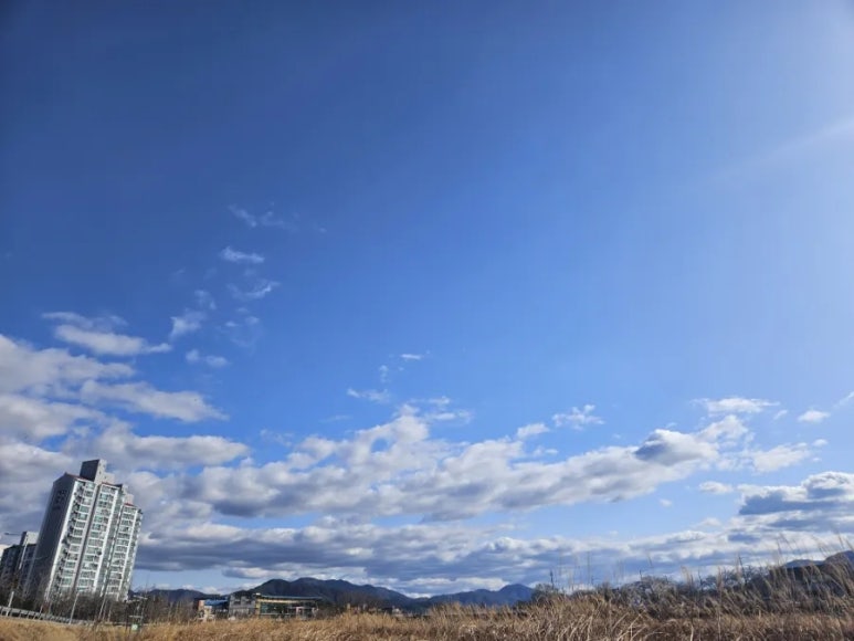 전주 시외버스터미널에서 세종 가는 방법 : 네이버 블로그