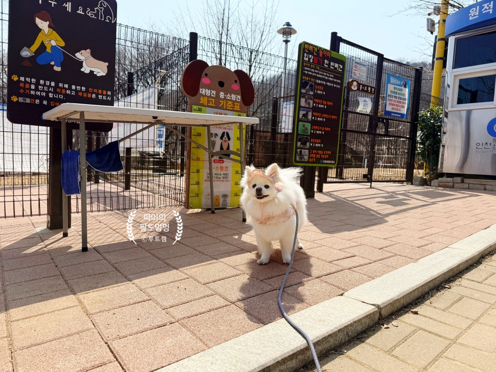 인천 원적산공원 반려견 놀이터: 무료 이용 후기 — 사진 2