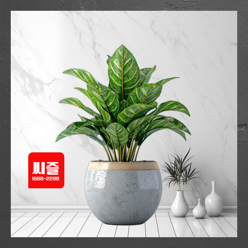 서울 개업화분 당일 배송 및 가격, 씨즐플라워 : 네이버 블로그