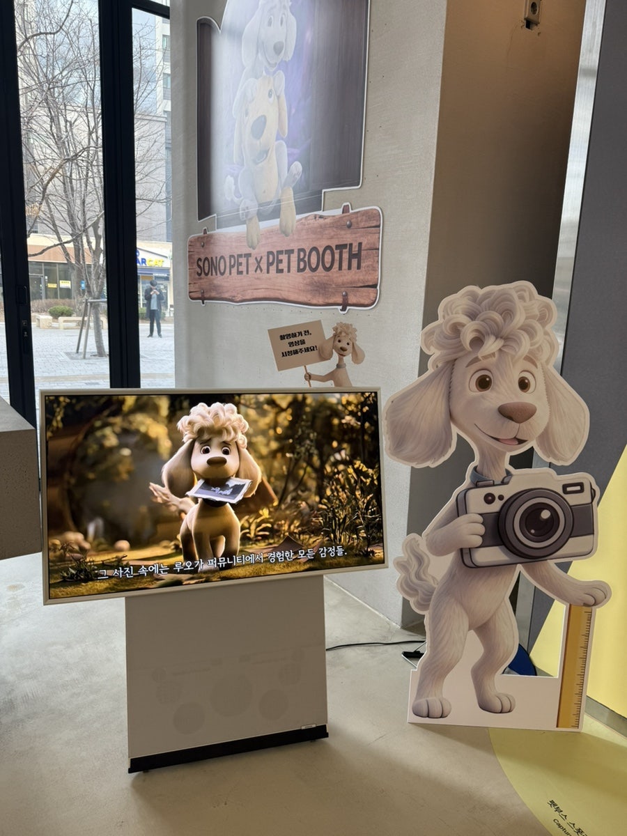 일산 띵킹독 펫부스 강아지 셀프 사진 후기 — 사진 9