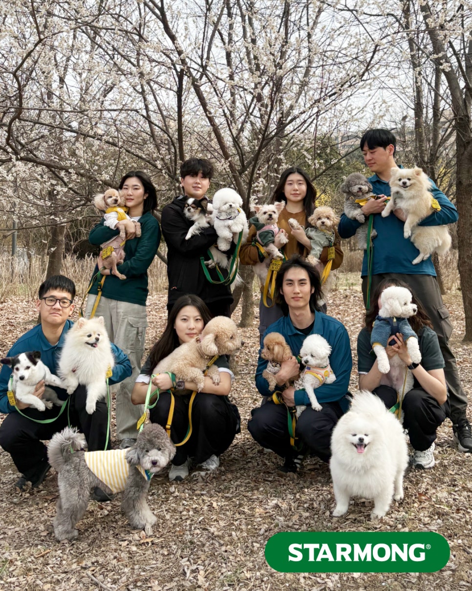 서초 강아지 유치원, 스타몽 야외 산책 데이 후기 — 사진 6