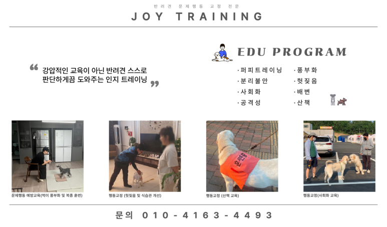 강아지 행동교정: 입질·짖음·산책 문제 해결 — 사진 11