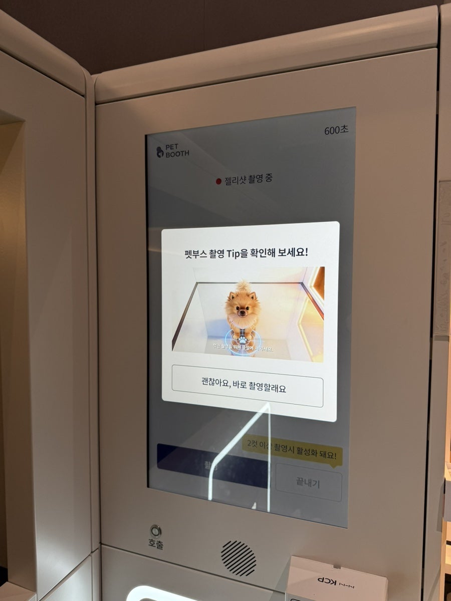 일산 띵킹독 펫부스 강아지 셀프 사진 후기 — 사진 19