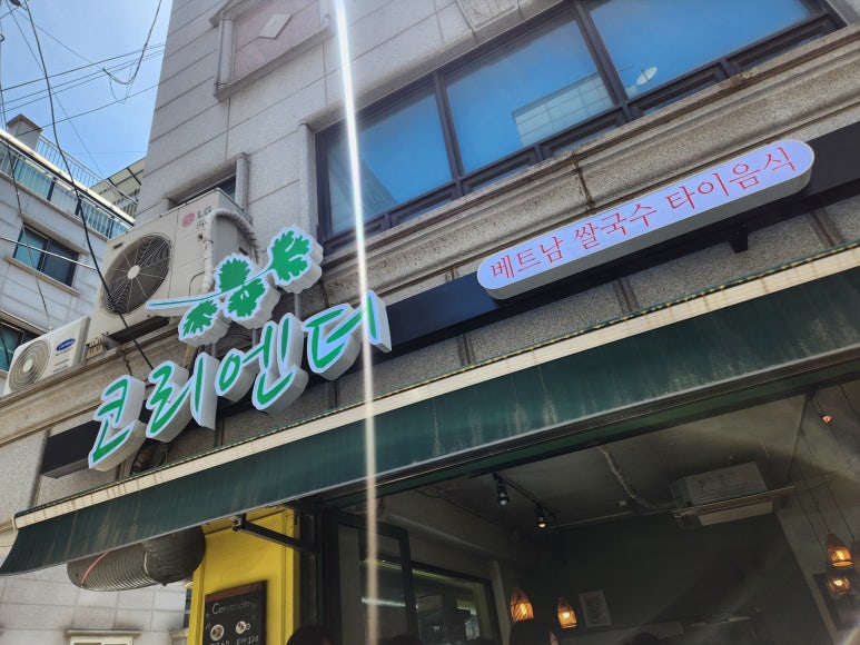 코리엔더 사진 6