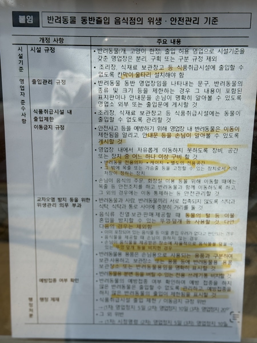 영등포 카페 팜스프링스: 브런치 맛집 & 혼자 힐링 공간 — 사진 20