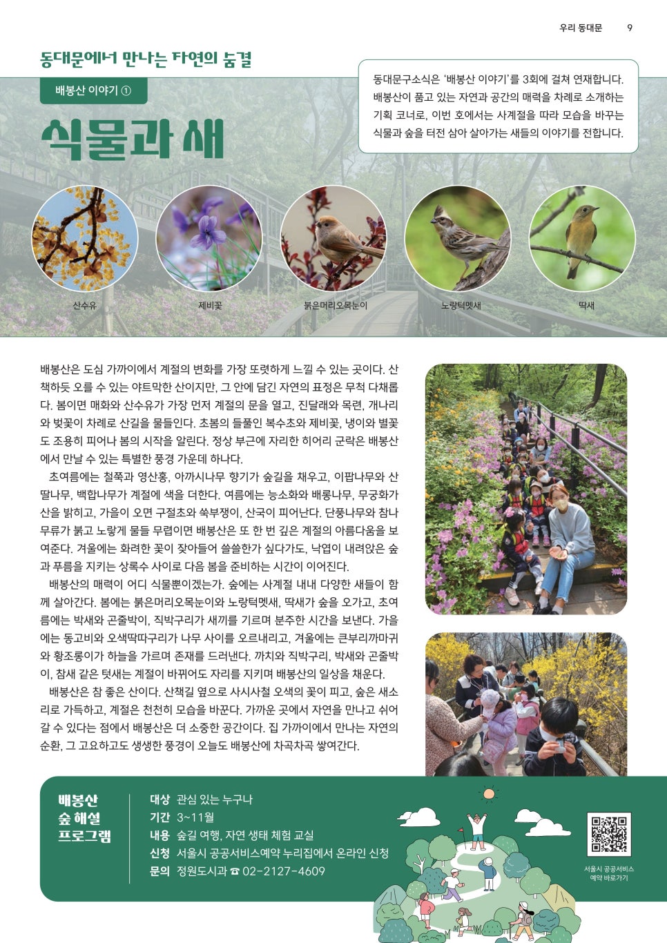 브로콜리 지역정보 관련 사진 10