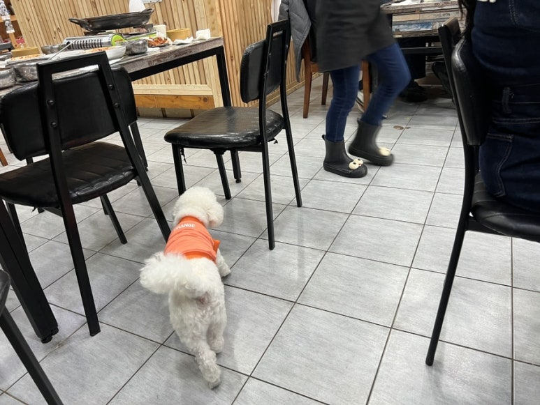 우리뜰식당 제주협재본점 사진 7