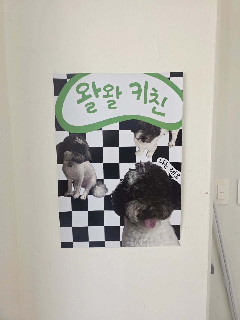 김포 왈왈키친 강아지 수제간식 후기, 붕어빵까지! — 사진 5