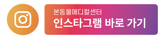 강아지 락스 섭취, 대구 본동물메디컬센터 응급치료 후기 — 사진 13