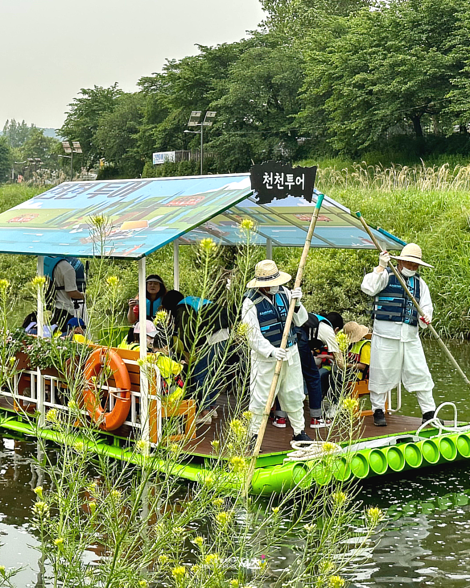 브로콜리 지역정보 관련 사진 18