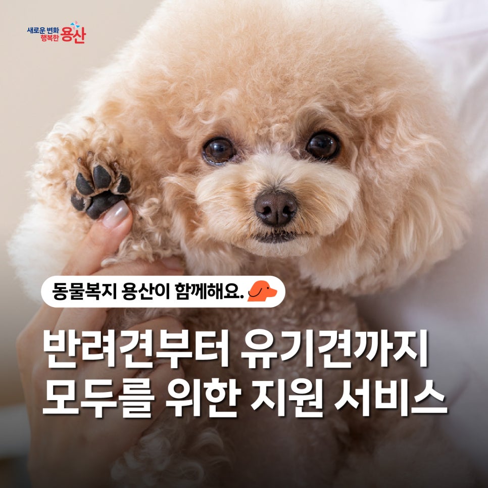 브로콜리 지역정보 관련 사진 1