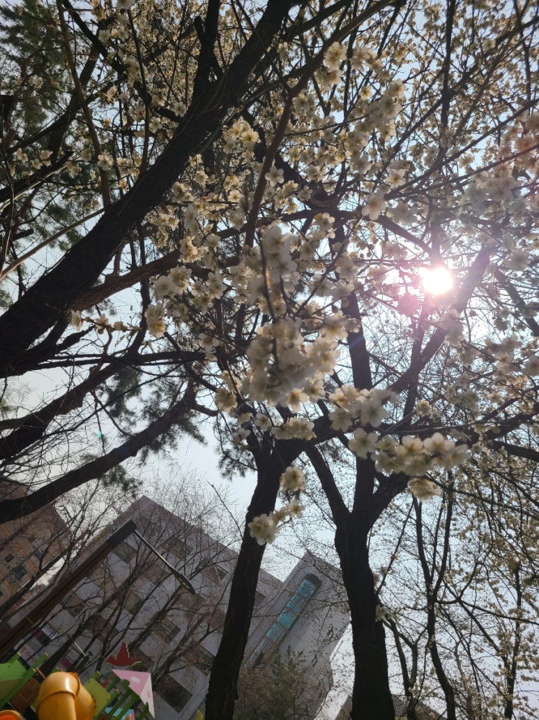미소야 잠실본점 사진 6