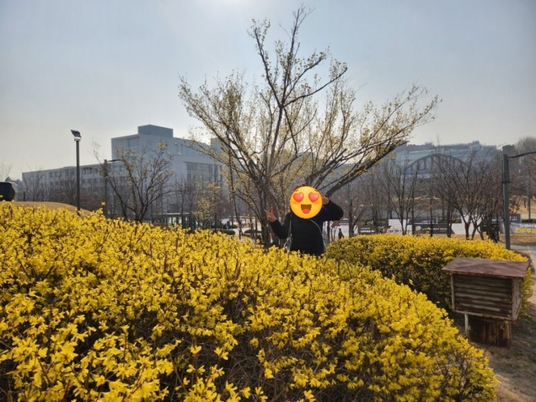 고메이플레이스 연세대고를샘점 사진 3