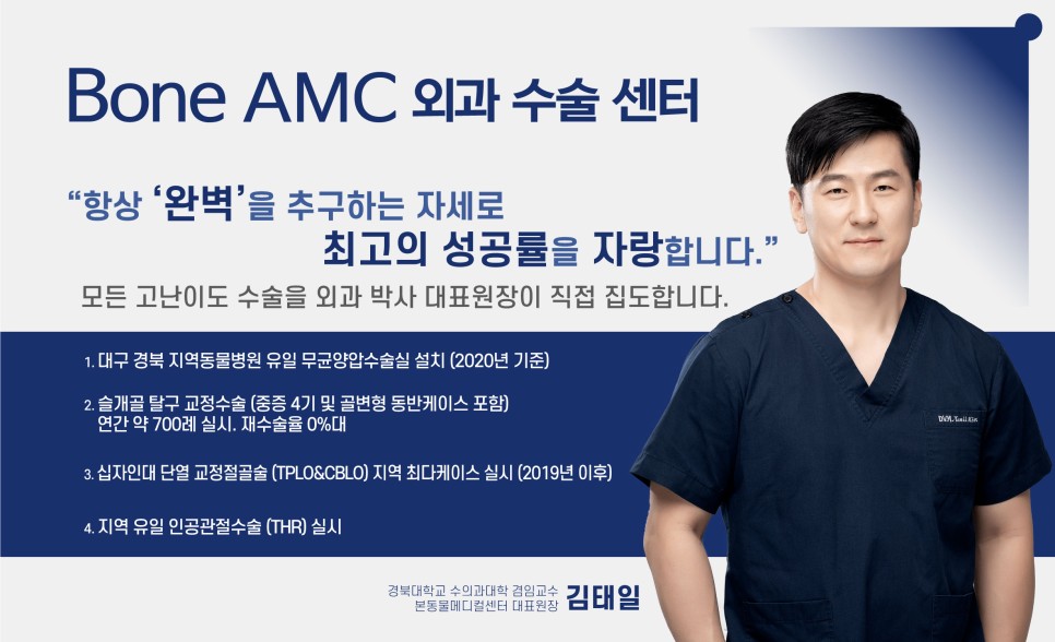 강아지 락스 섭취, 대구 본동물메디컬센터 응급치료 후기 — 사진 7