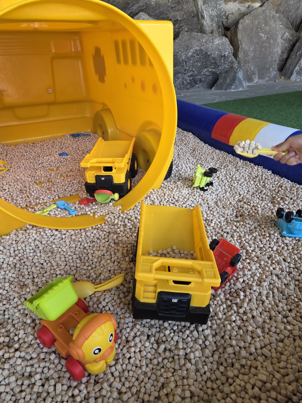 브로콜리 지역정보 관련 사진 14