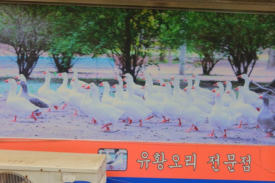 풍미원 사진 4