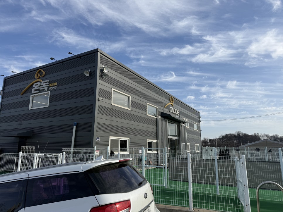 동탄 온독 애견카페: 1500평 천연잔디 운동장 후기